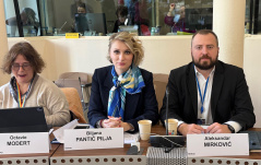 3. март 2025. Делегација Народне скупштине на седници Комитета за правна питања и људска права ПС СЕ